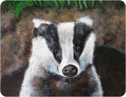 Badger - Place Mat Badger - Place Mat